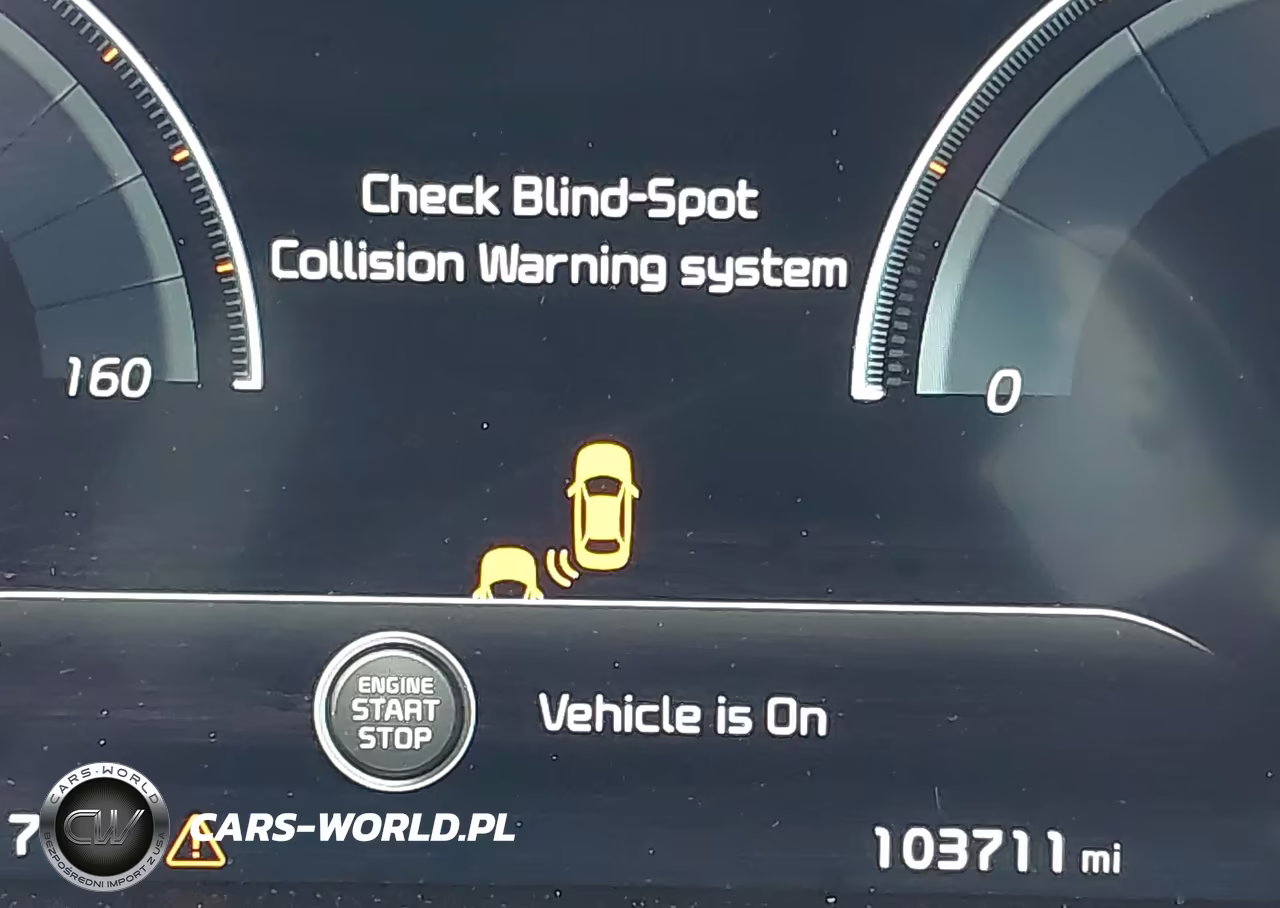 2019 Kia K900 Luxury VIN:KNAS34J64K6009470 - 15