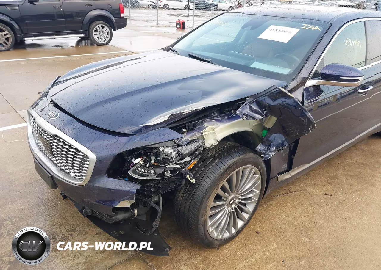 2019 Kia K900 Luxury VIN:KNAS34J64K6009470 - 6