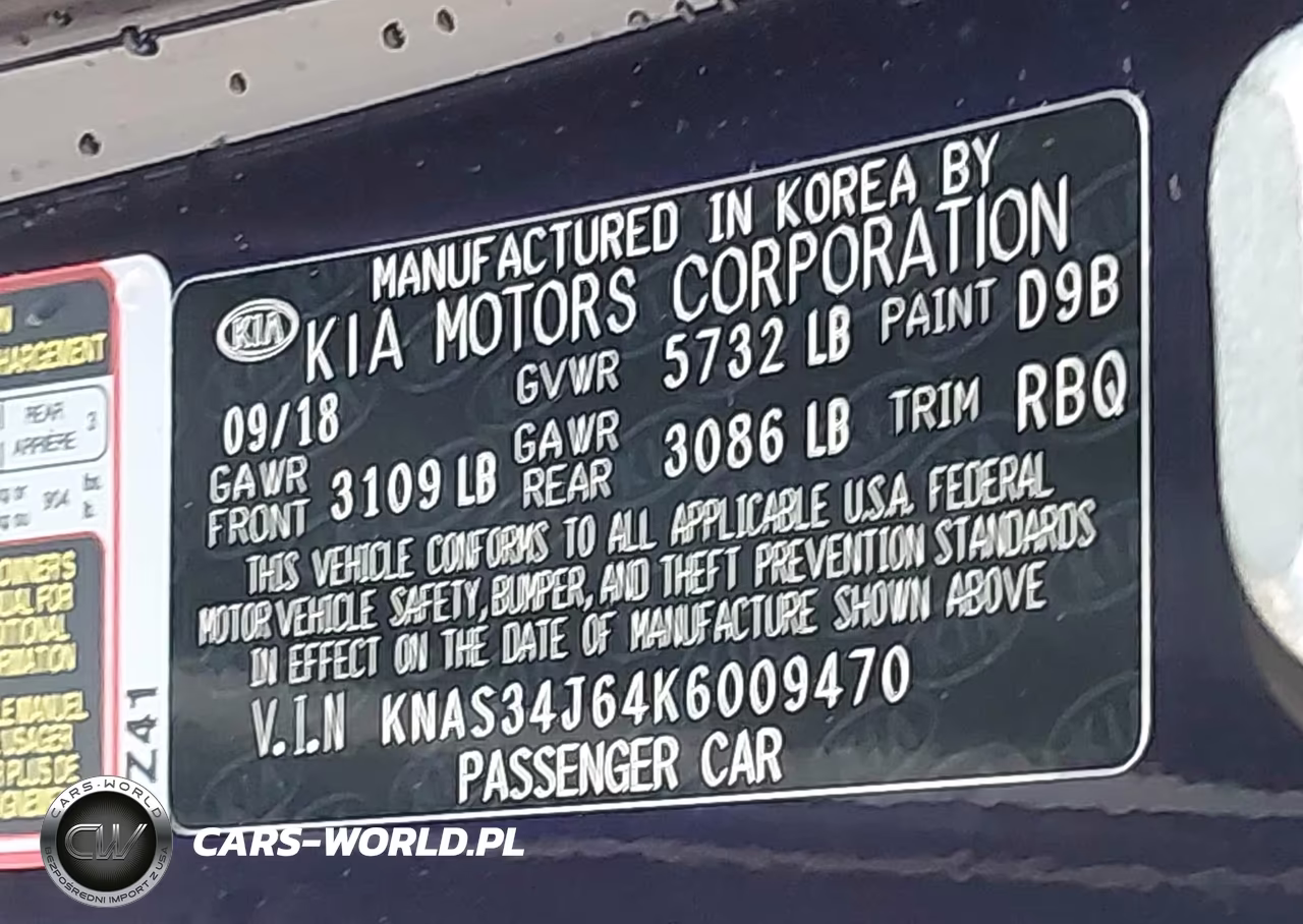 2019 Kia K900 Luxury VIN:KNAS34J64K6009470 - 9