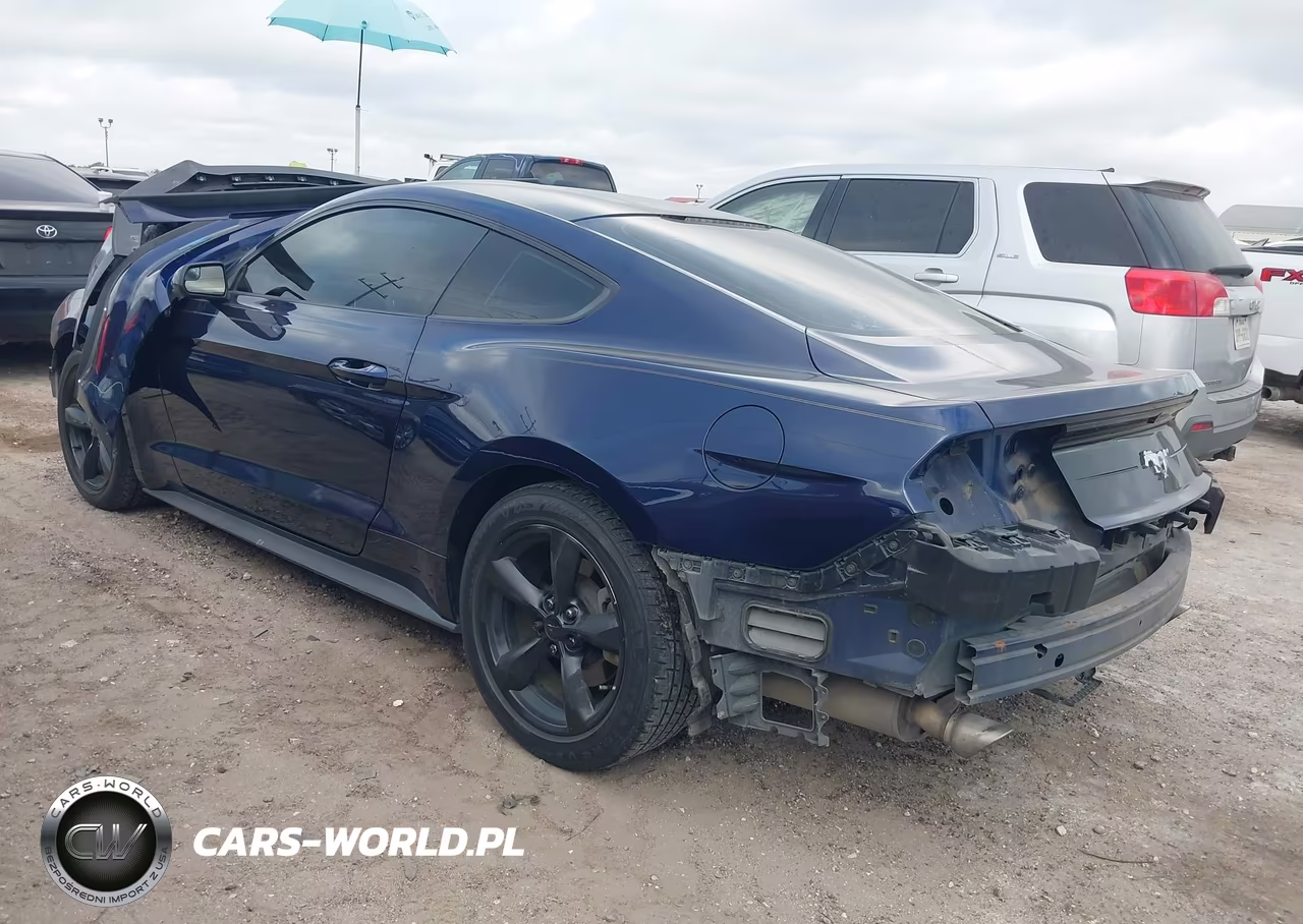 2018 Ford Mustang Ecoboost VIN:1FA6P8TH6J5184084 - 3