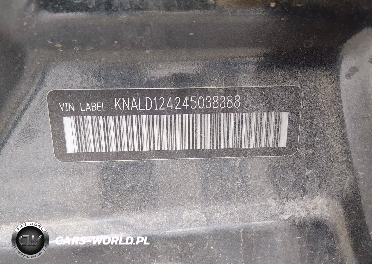 2004 Kia Amanti VIN:KNALD124245038388 - 9