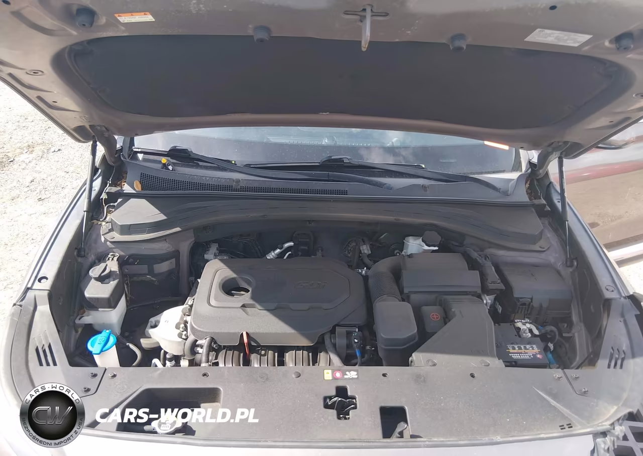 2020 Hyundai Santa Fe Sel VIN:5NMS3CAD3LH183126 - 10