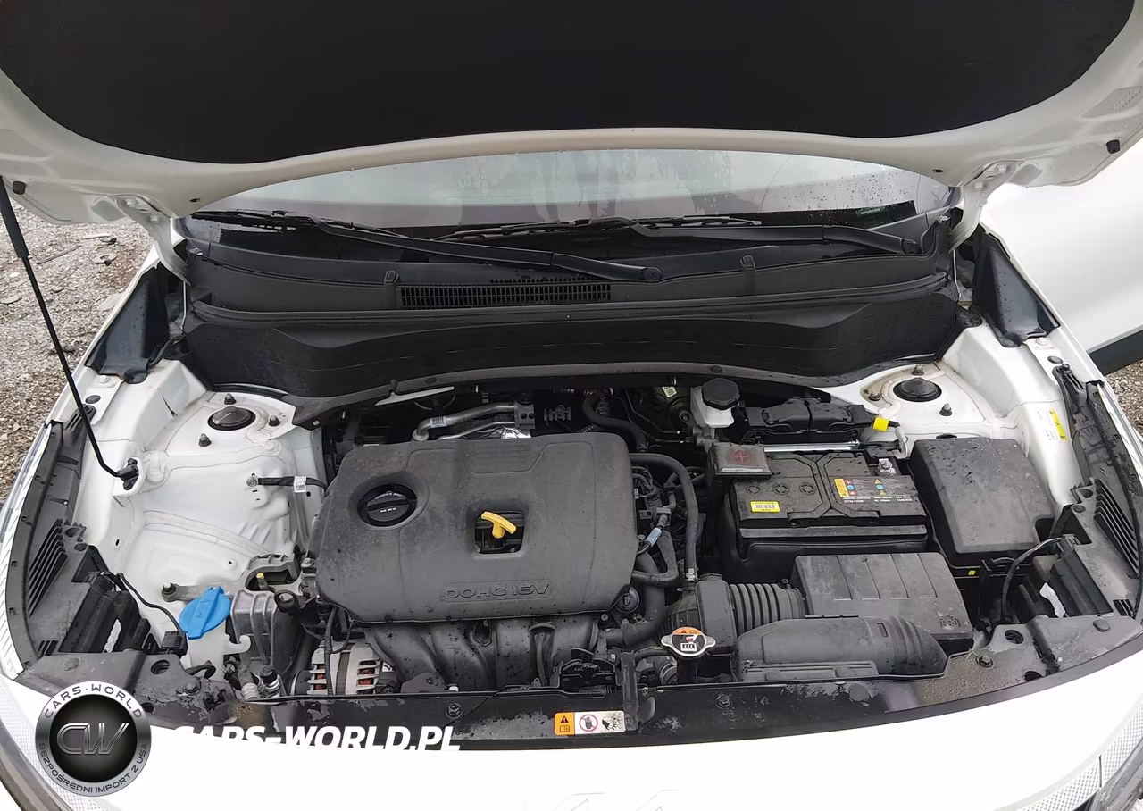 2024 Kia Seltos Ex VIN:KNDERCAA9R7530928 - 10