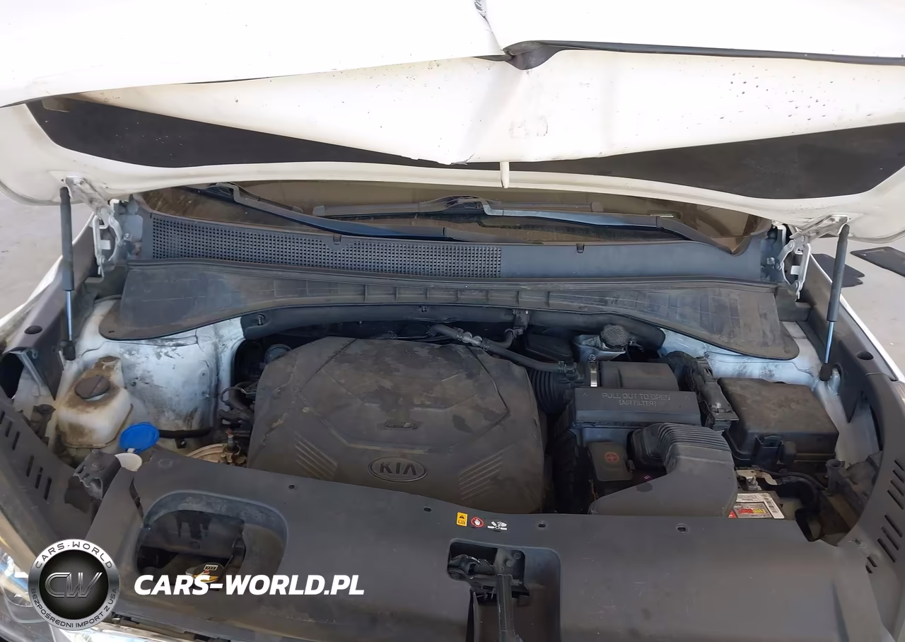 2019 Kia Sorento 3.3L Lx VIN:5XYPG4A56KG467450 - 10