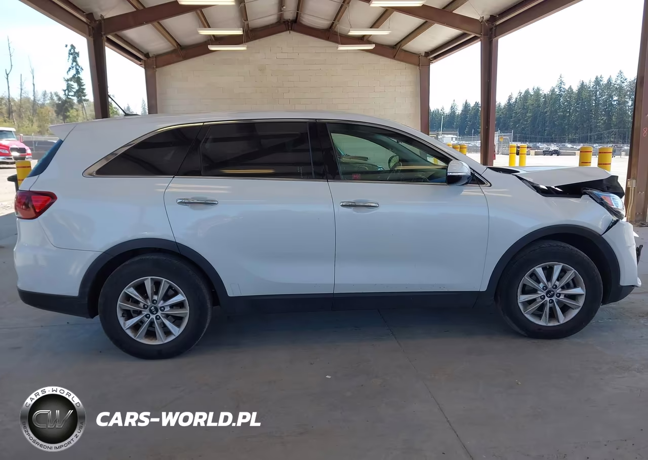 2019 Kia Sorento 3.3L Lx VIN:5XYPG4A56KG467450 - 13