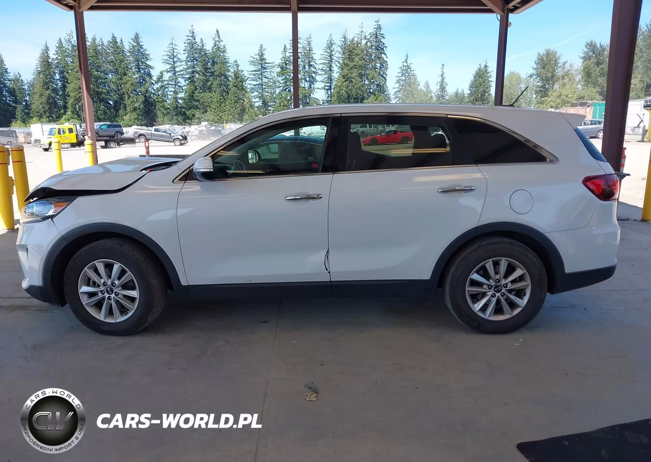 2019 Kia Sorento 3.3L Lx VIN:5XYPG4A56KG467450 - 14