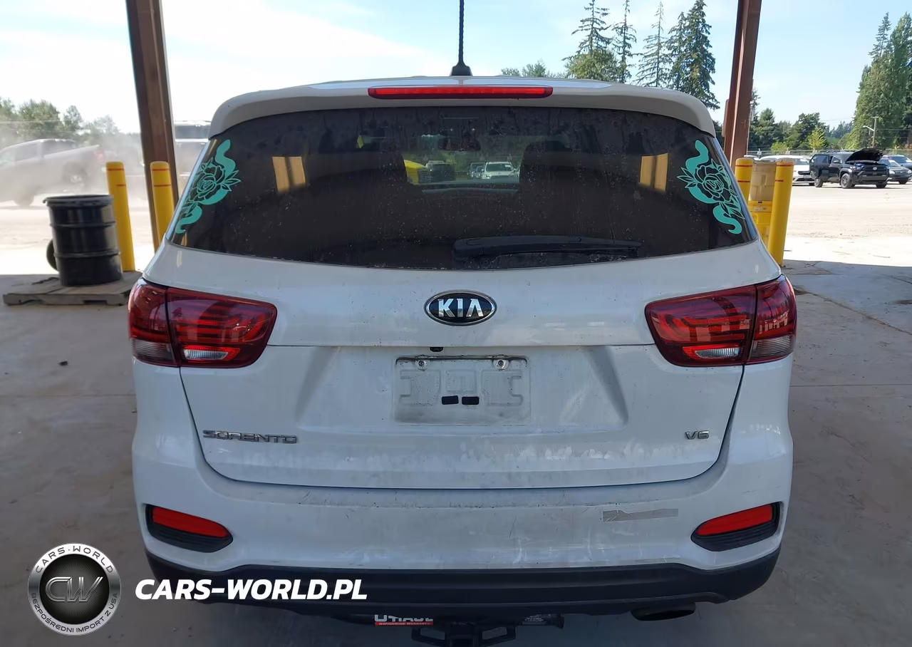 2019 Kia Sorento 3.3L Lx VIN:5XYPG4A56KG467450 - 16