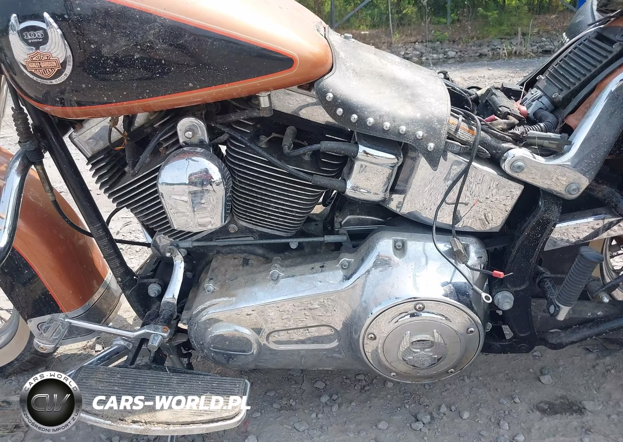 2008 Harley-Davidson Flstc 105Th Anniversary Edition VIN:1HD1BW5418Y022002 - 9