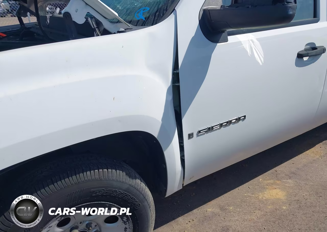 2009 GMC Sierra 1500 Work Truck VIN:3GTEC13C59G117851 - 13