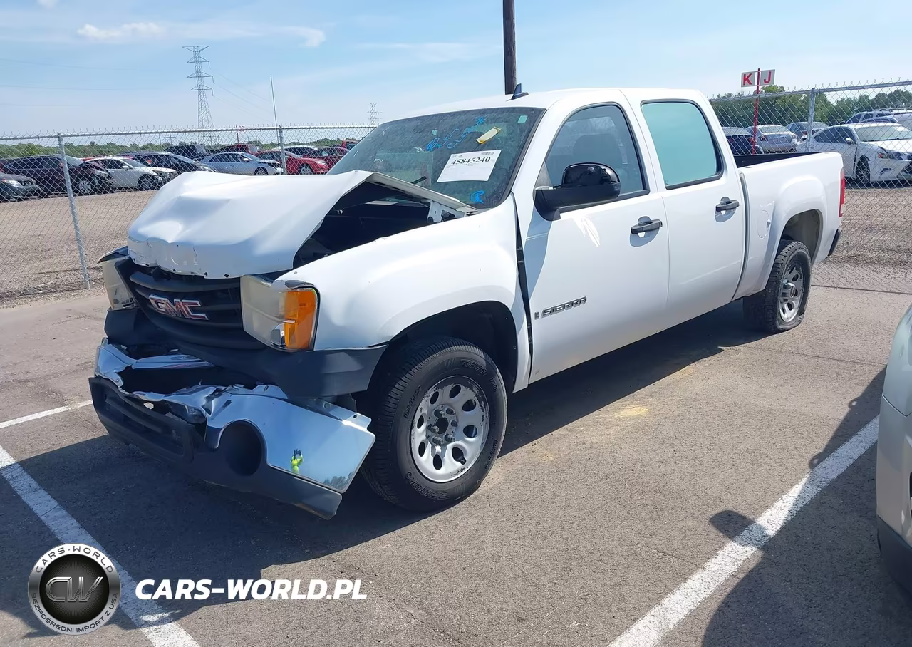 2009 GMC Sierra 1500 Work Truck VIN:3GTEC13C59G117851 - 2