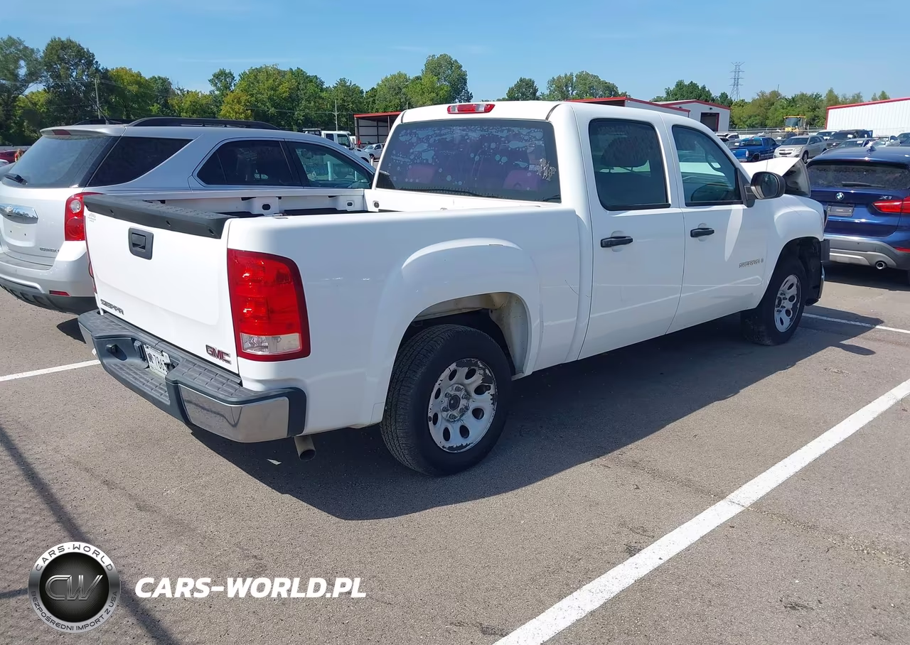 2009 GMC Sierra 1500 Work Truck VIN:3GTEC13C59G117851 - 4