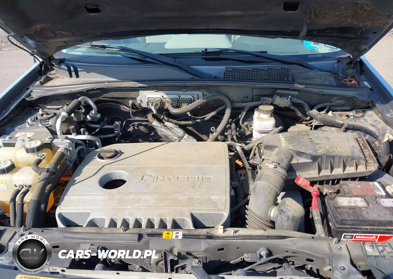 2009 Ford Escape Hybrid Limited VIN:1FMCU59369KB94302 - 10