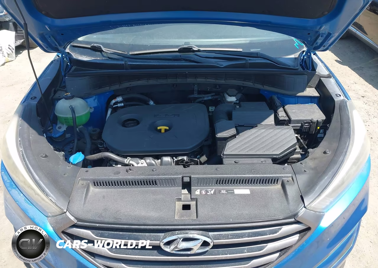 2016 Hyundai Tucson Se VIN:KM8J23A45GU197943 - 10