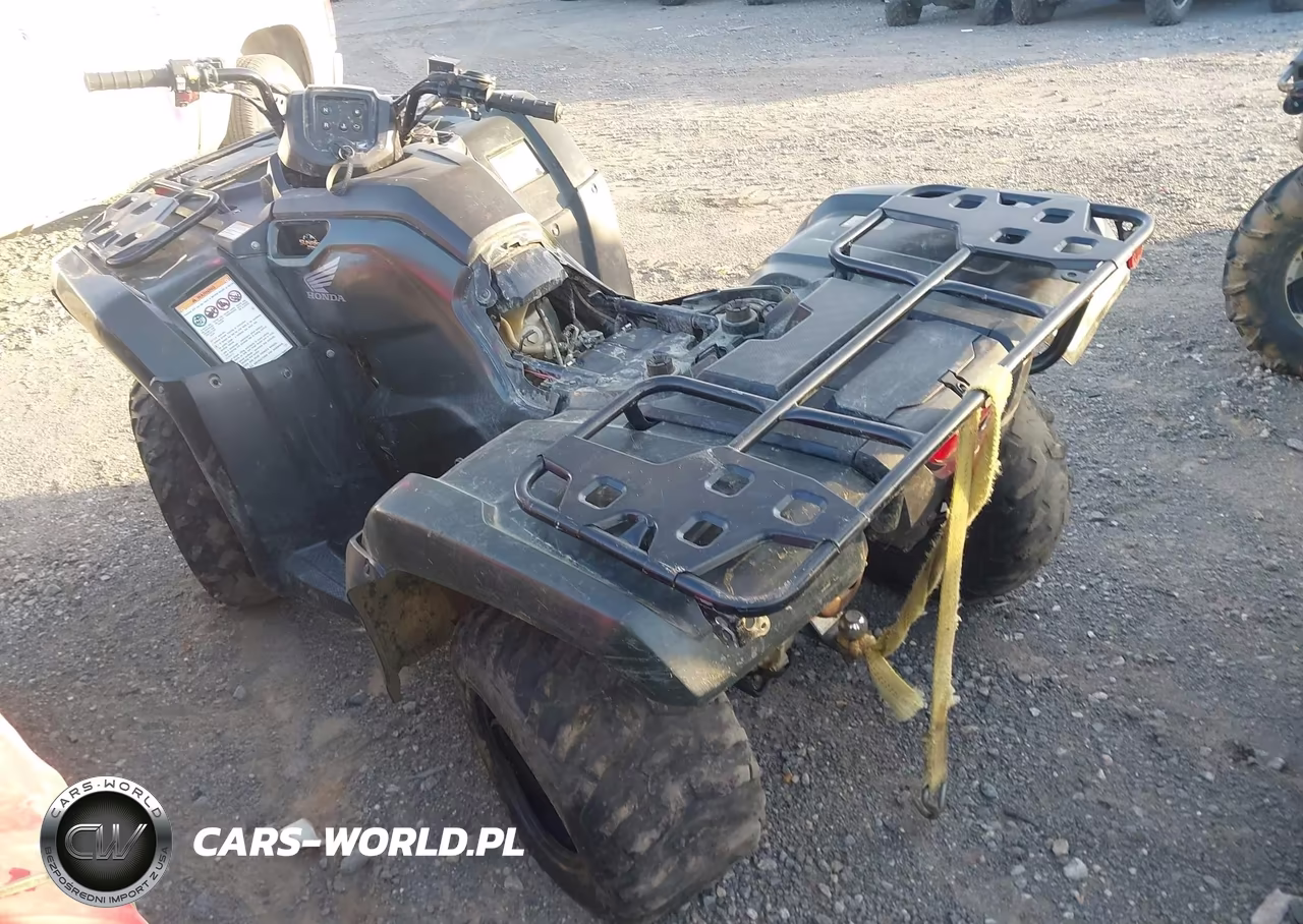 2025 Honda Trx420 Tm VIN:1HFTE3908SJ100661 - 3