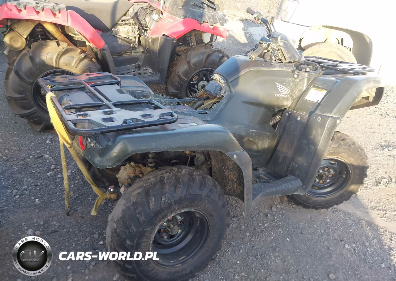 2025 Honda Trx420 Tm VIN:1HFTE3908SJ100661 - 4