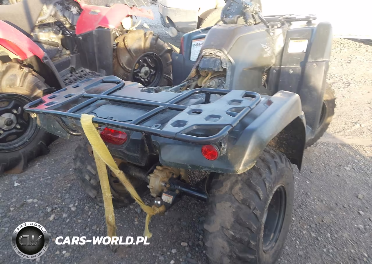 2025 Honda Trx420 Tm VIN:1HFTE3908SJ100661 - 6