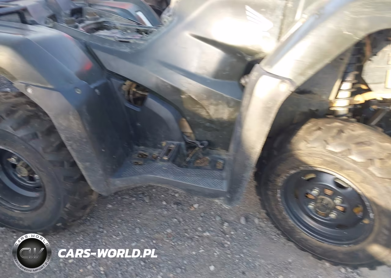 2025 Honda Trx420 Tm VIN:1HFTE3908SJ100661 - 8