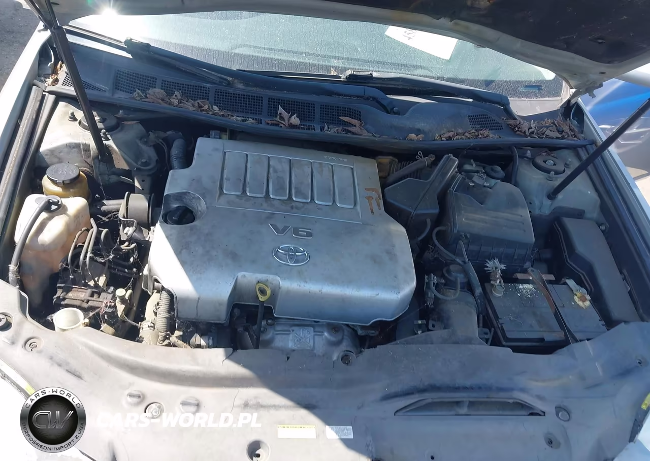 2006 Toyota Avalon Limited VIN:4T1BK36B86U160265 - 10