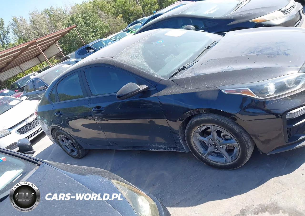 2019 Kia Forte Fe VIN:3KPF24AD1KE127346 - 13