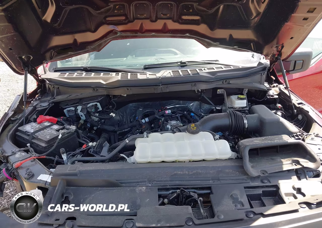 2025 Ford F-150 Stx VIN:1FTEW2LP4SKF28687 - 10