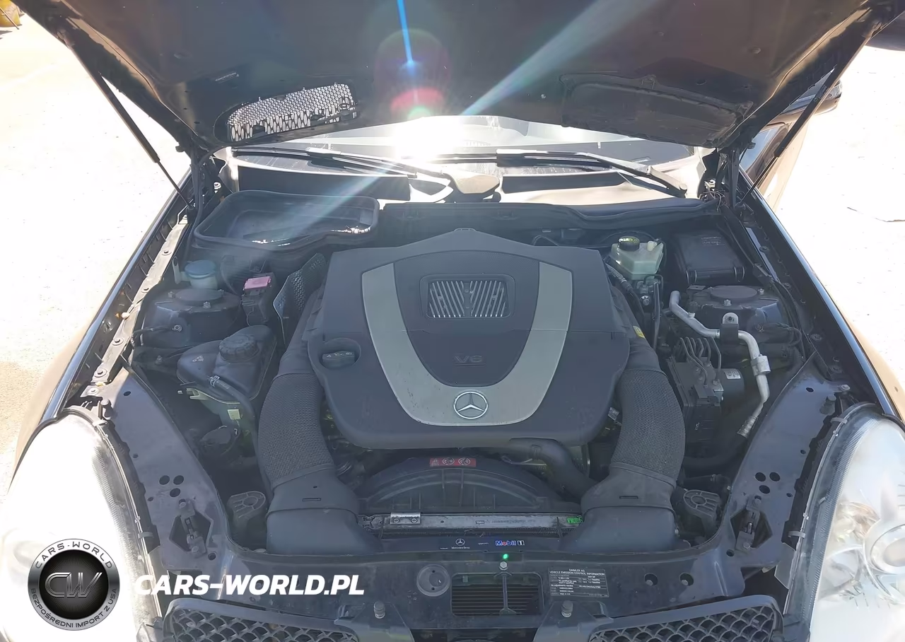 2009 Mercedes-Benz Slk 300 VIN:WDBWK54F59F204866 - 10