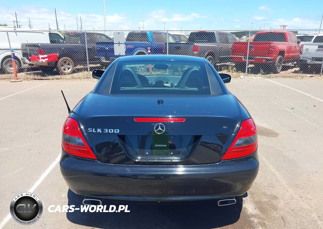 2009 Mercedes-Benz Slk 300 VIN:WDBWK54F59F204866 - 16