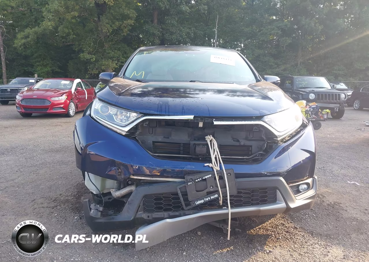 2019 Honda Cr-V Ex VIN:5J6RW2H50KL004059 - 12