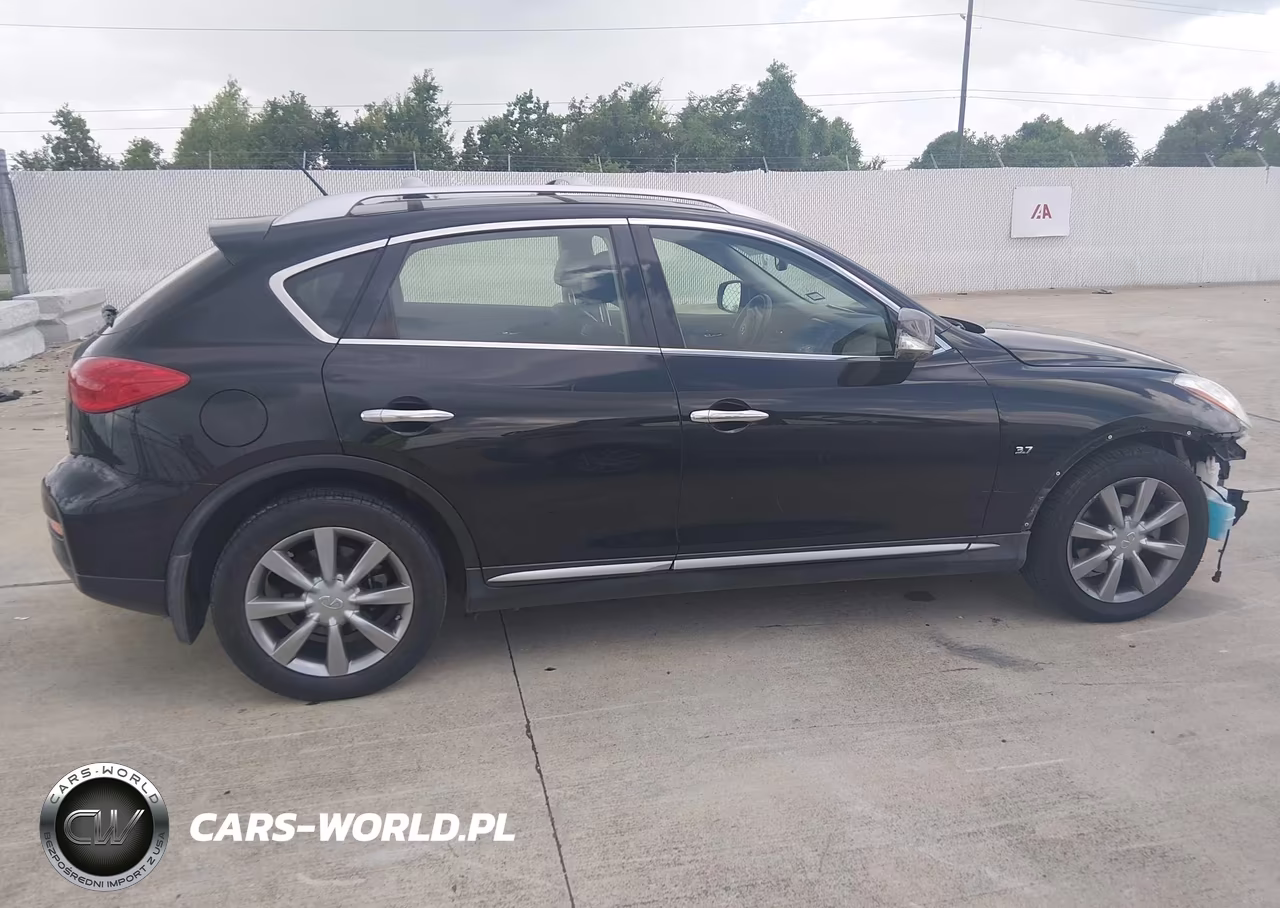 2017 Infiniti Qx50 VIN:JN1BJ0RP4HM389514 - 13