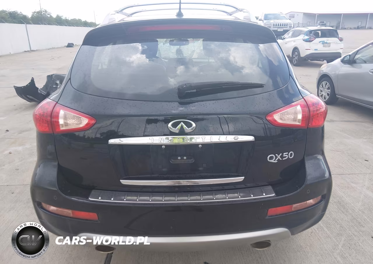2017 Infiniti Qx50 VIN:JN1BJ0RP4HM389514 - 16