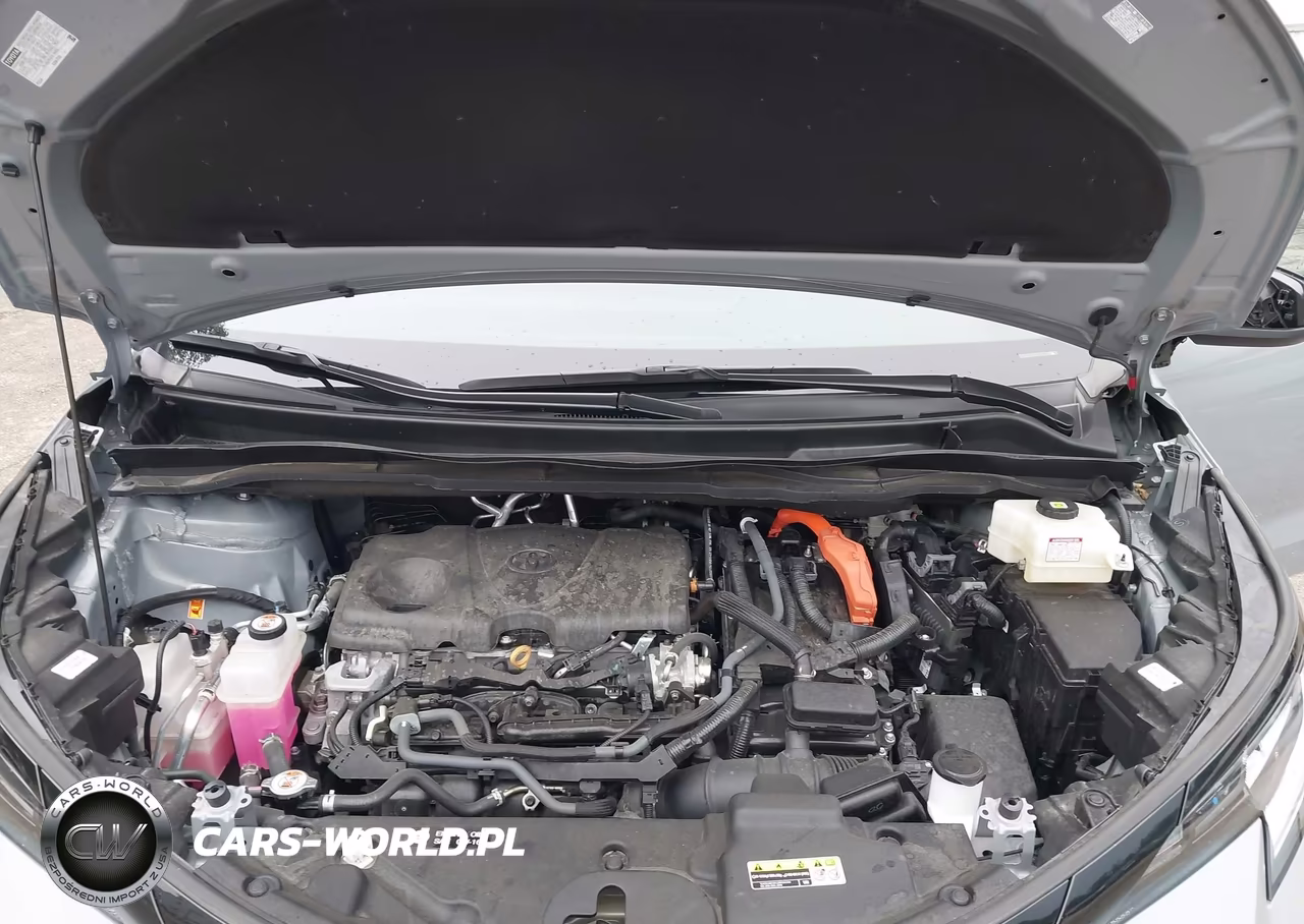 2025 Toyota Sienna Woodland Edition VIN:5TDCSKFC6SS176877 - 10