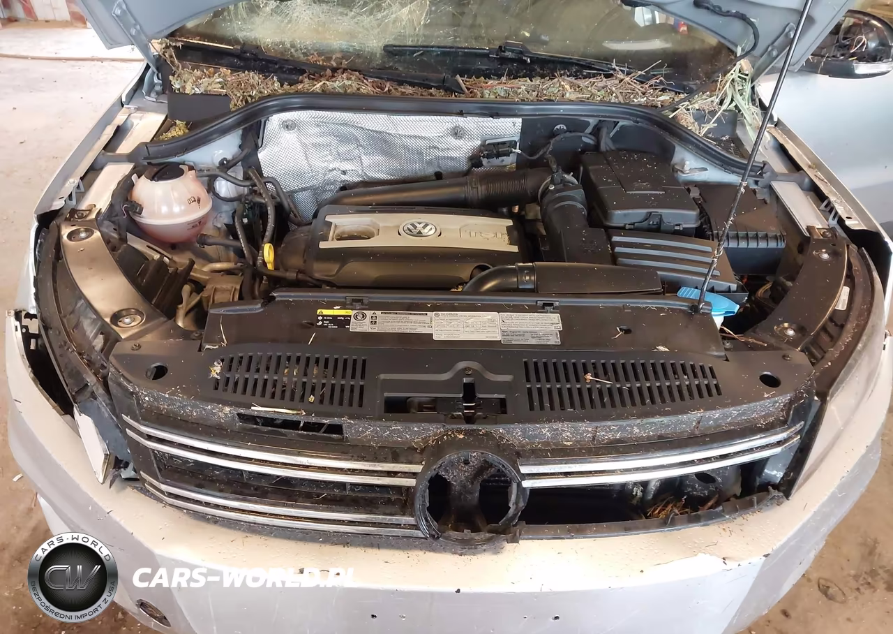 2016 Volkswagen Tiguan S VIN:WVGBV7AX8GW025326 - 10