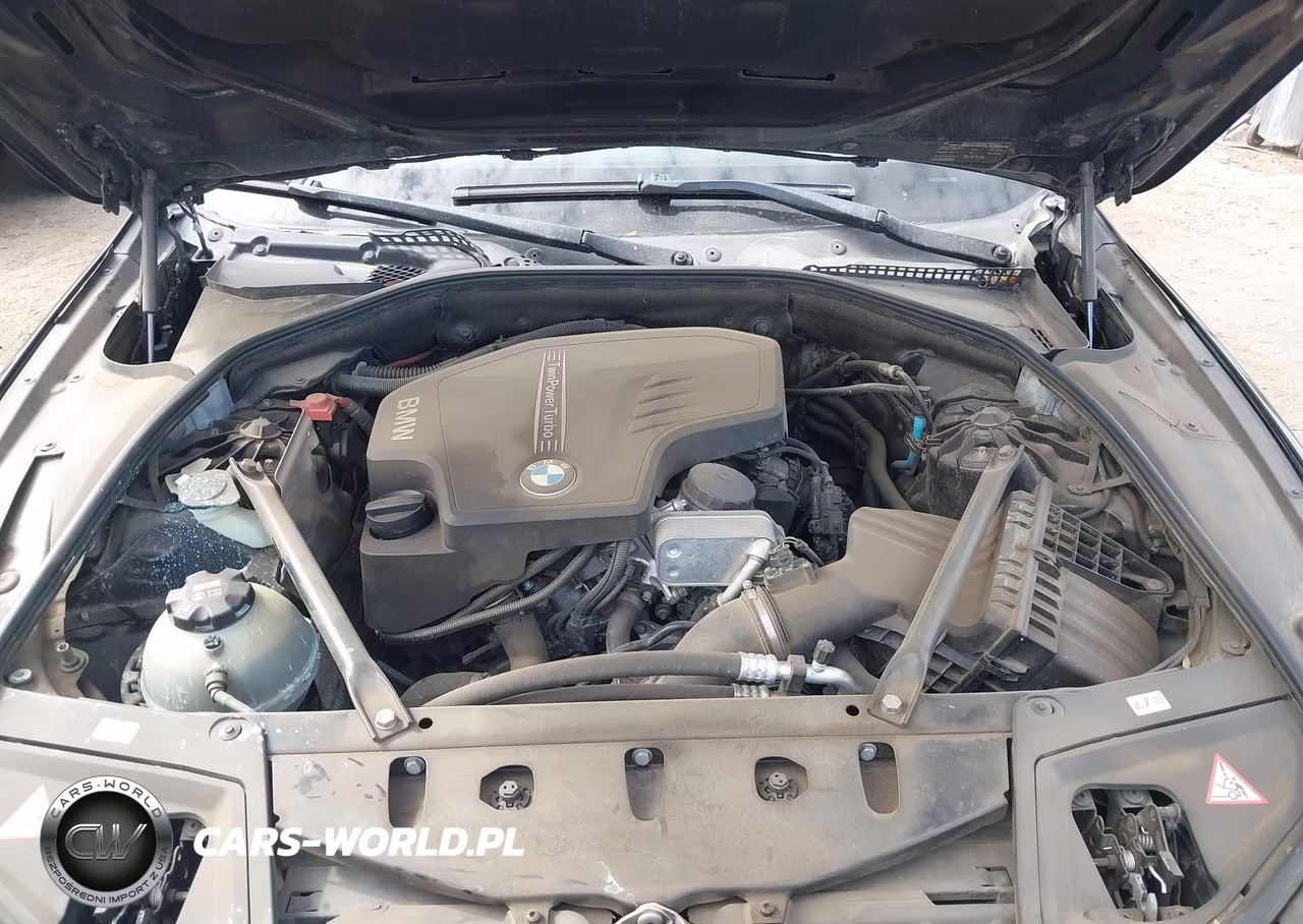 2015 BMW 528I VIN:WBA5A5C51FD521900 - 10