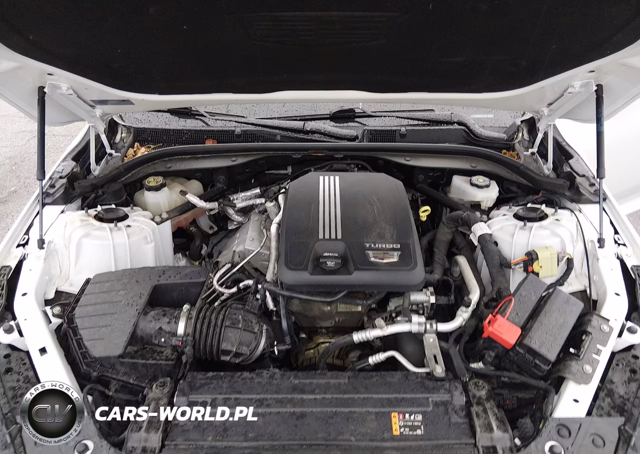 2023 Cadillac Ct5 Luxury VIN:1G6DX5RK6P0108148 - 10