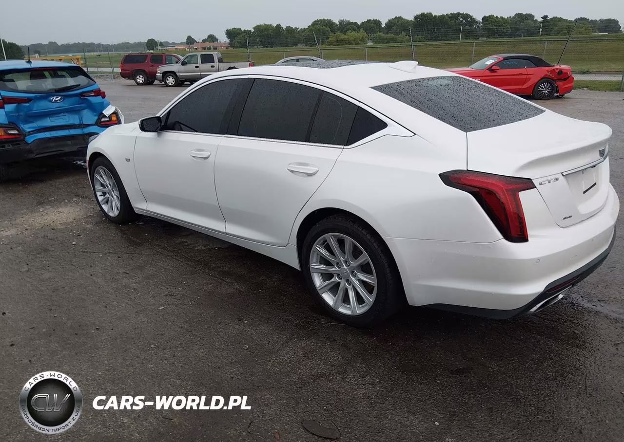 2023 Cadillac Ct5 Luxury VIN:1G6DX5RK6P0108148 - 3