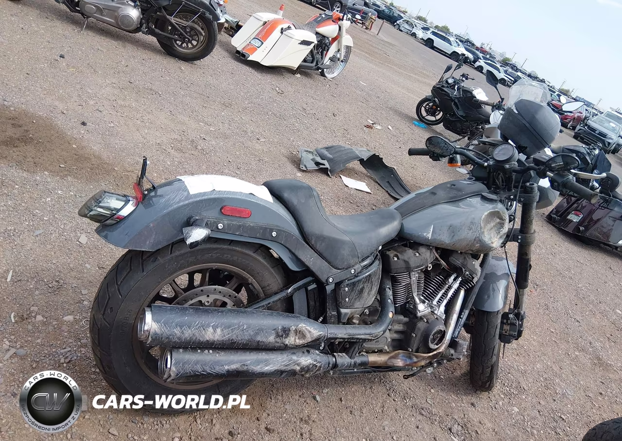 2022 Harley-Davidson Fxlrs VIN:1HD1YWZ11NB035720 - 15