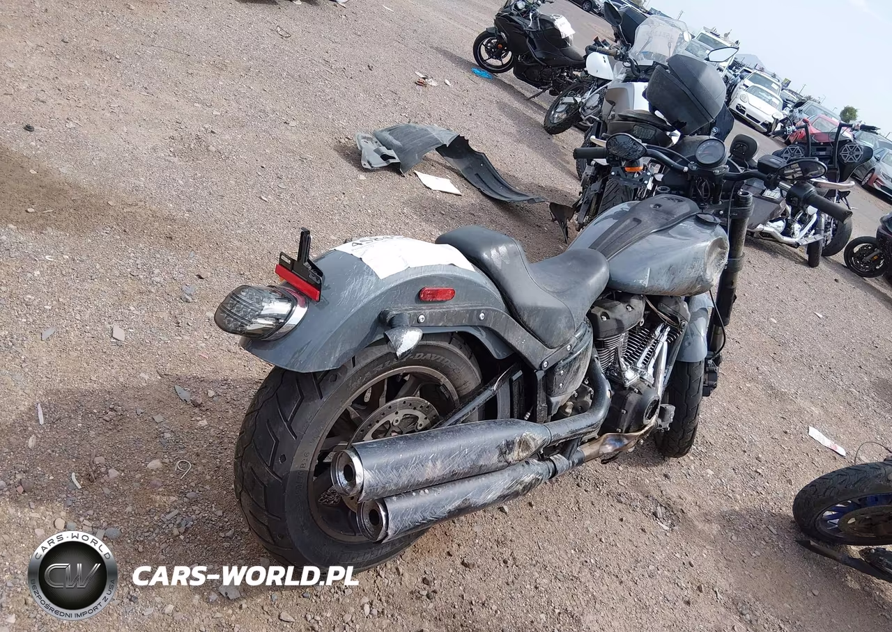 2022 Harley-Davidson Fxlrs VIN:1HD1YWZ11NB035720 - 4