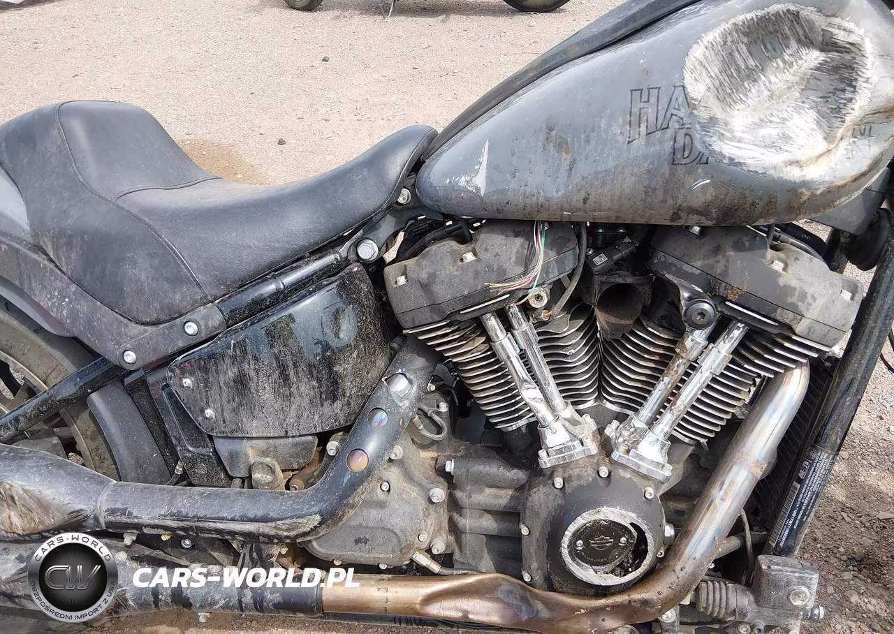 2022 Harley-Davidson Fxlrs VIN:1HD1YWZ11NB035720 - 8