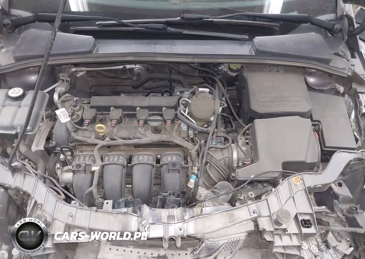 2014 Ford Focus Se VIN:1FADP3F21EL169768 - 10