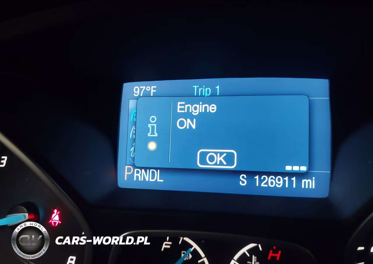 2014 Ford Focus Se VIN:1FADP3F21EL169768 - 16