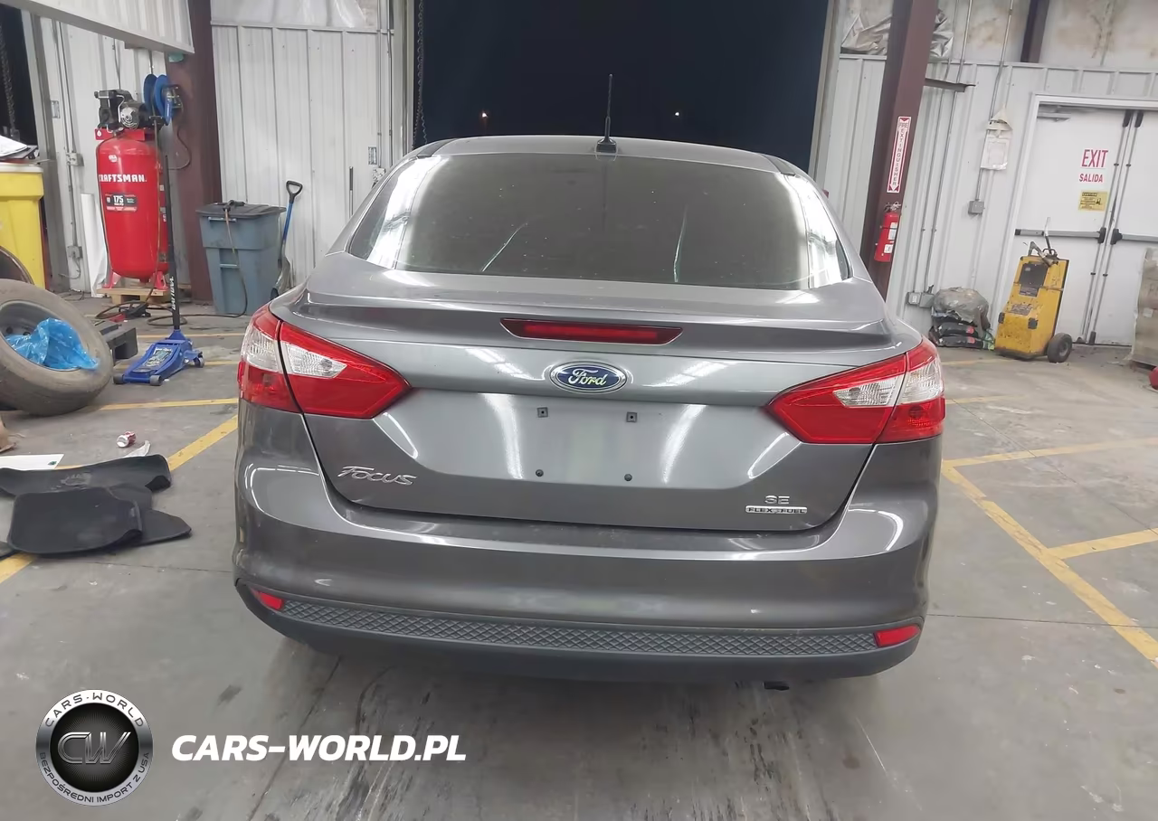 2014 Ford Focus Se VIN:1FADP3F21EL169768 - 17