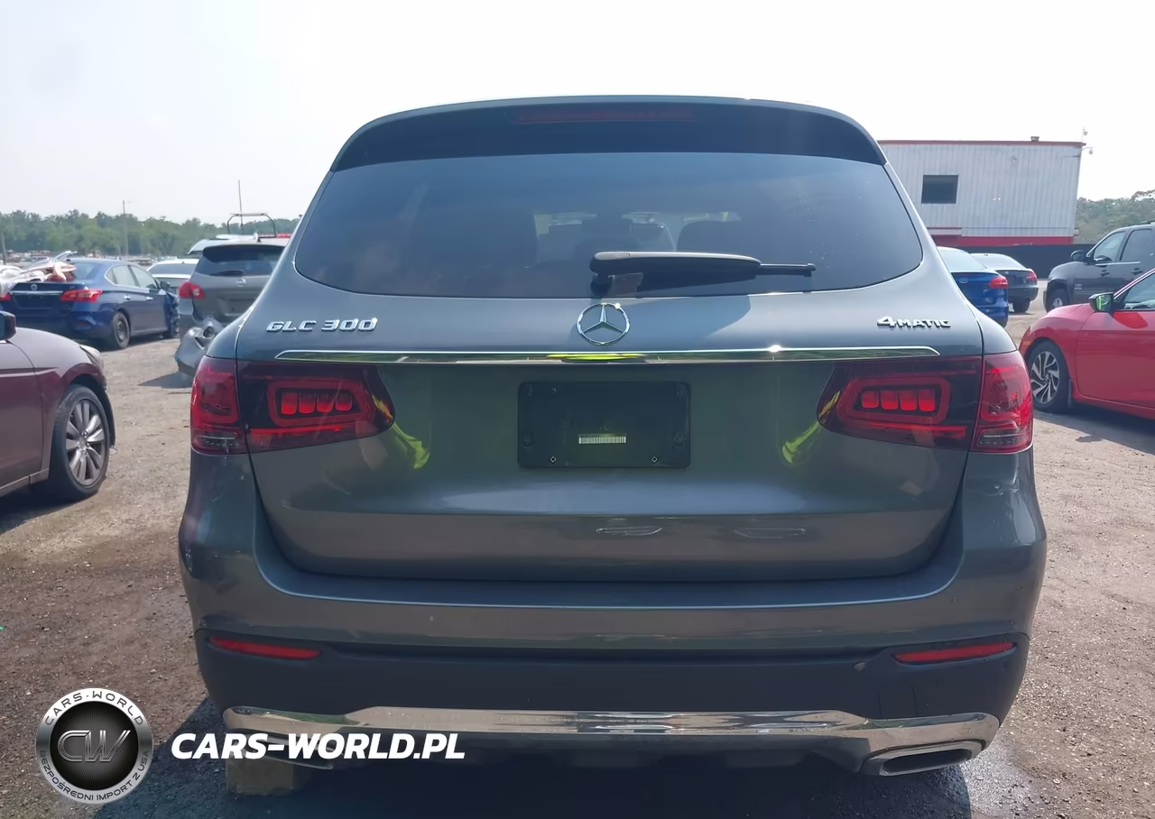 2020 Mercedes-Benz Glc 300 4Matic VIN:W1N0G8EBXLF838390 - 17