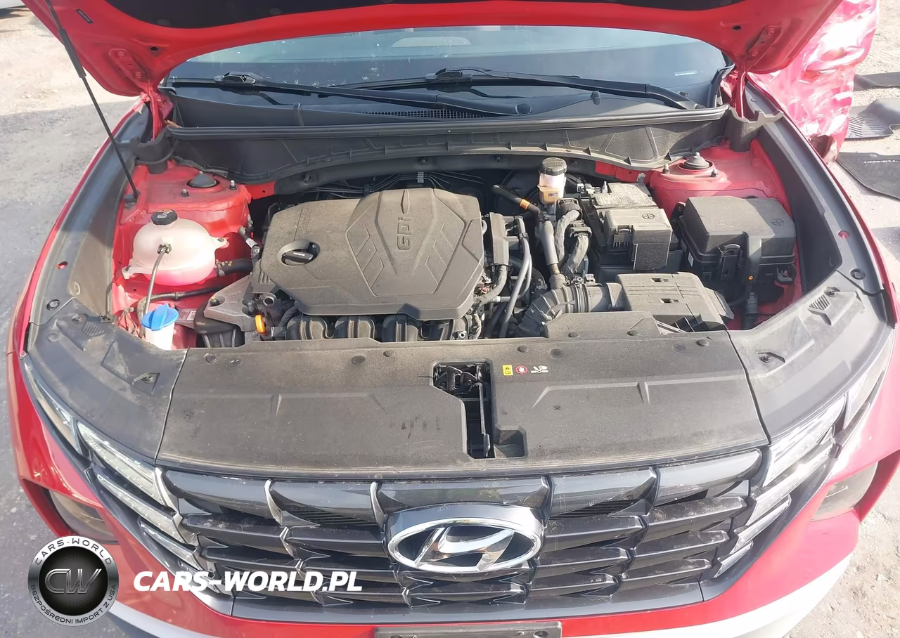 2023 Hyundai Tucson Sel VIN:5NMJBCAE8PH176802 - 10