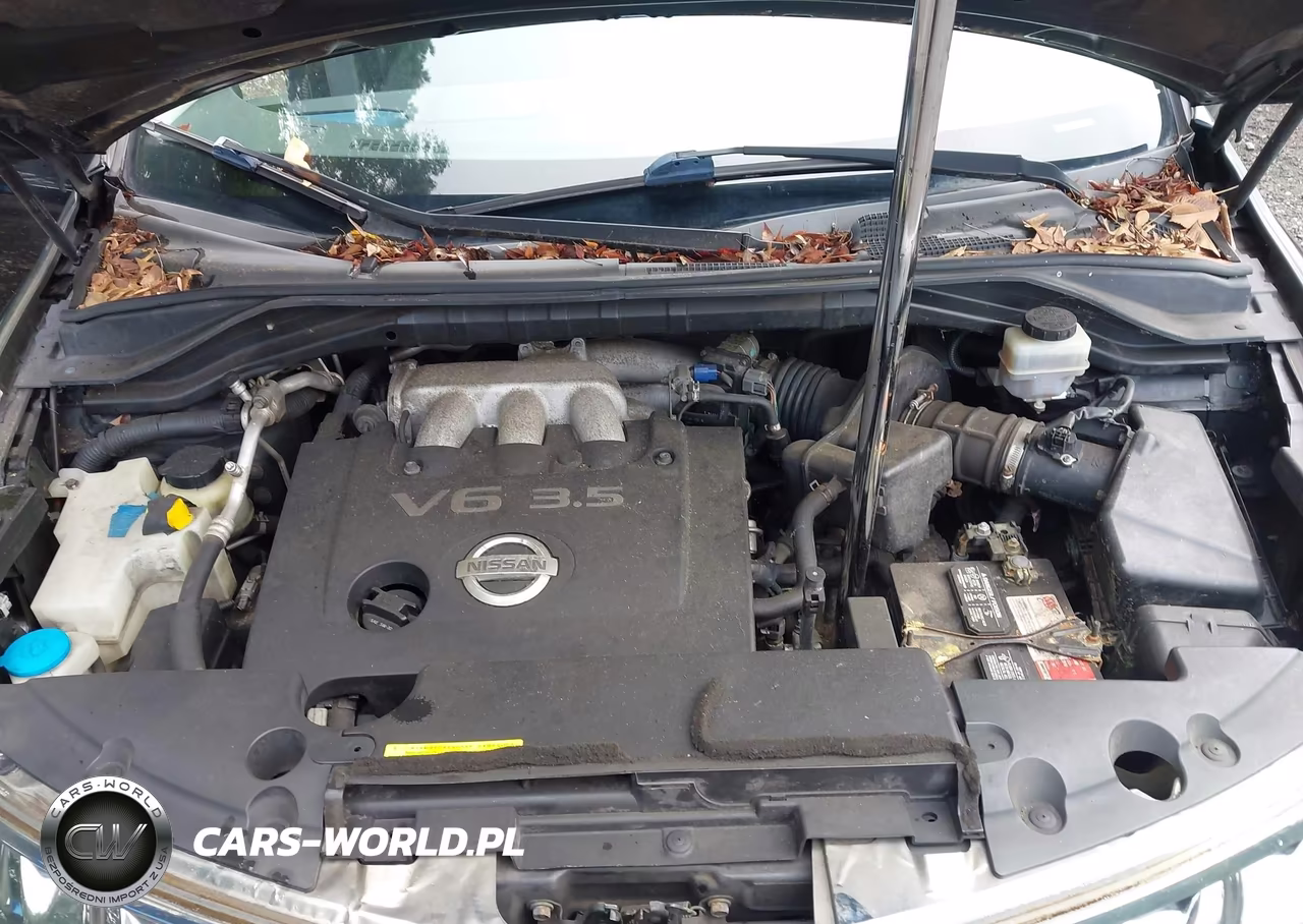 2007 Nissan Murano Sl VIN:JN8AZ08W67W663703 - 10