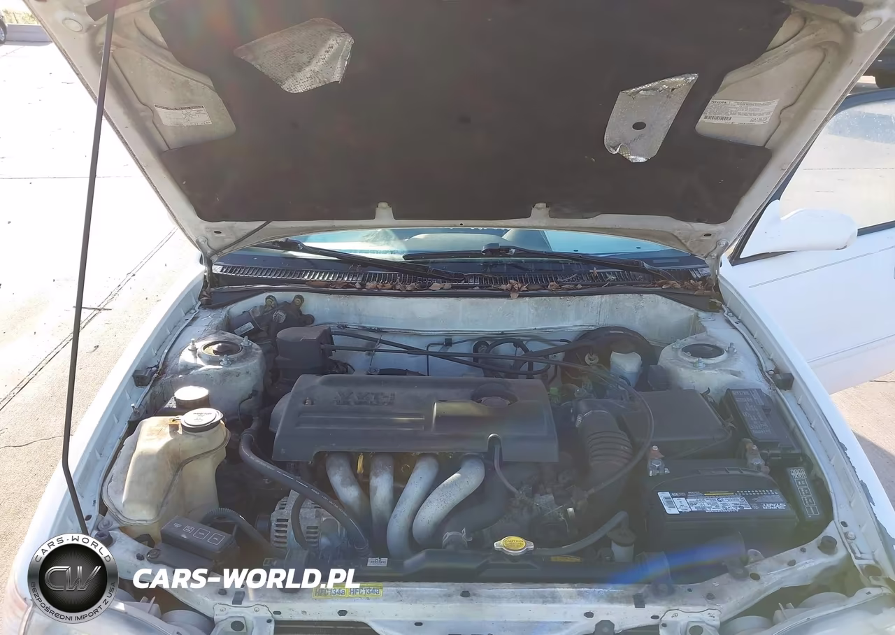 2001 Toyota Corolla S VIN:1NXBR12E31Z465830 - 10