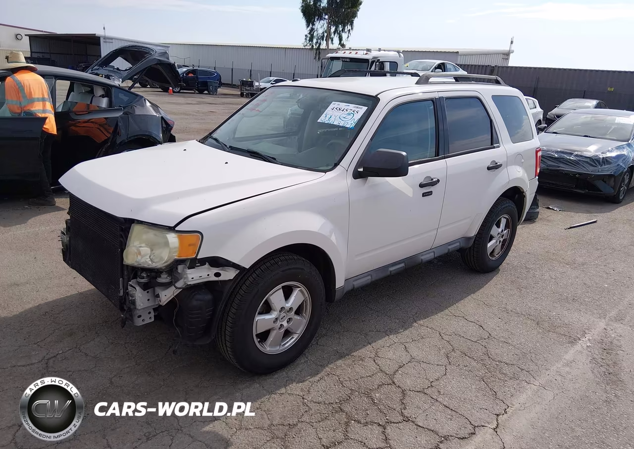 2011 Ford Escape Xlt VIN:1FMCU0D74BKB33954 - 2