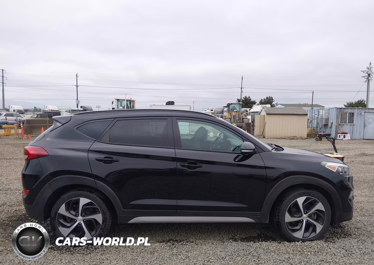 2017 Hyundai Tucson Value VIN:KM8J3CA26HU571179 - 13