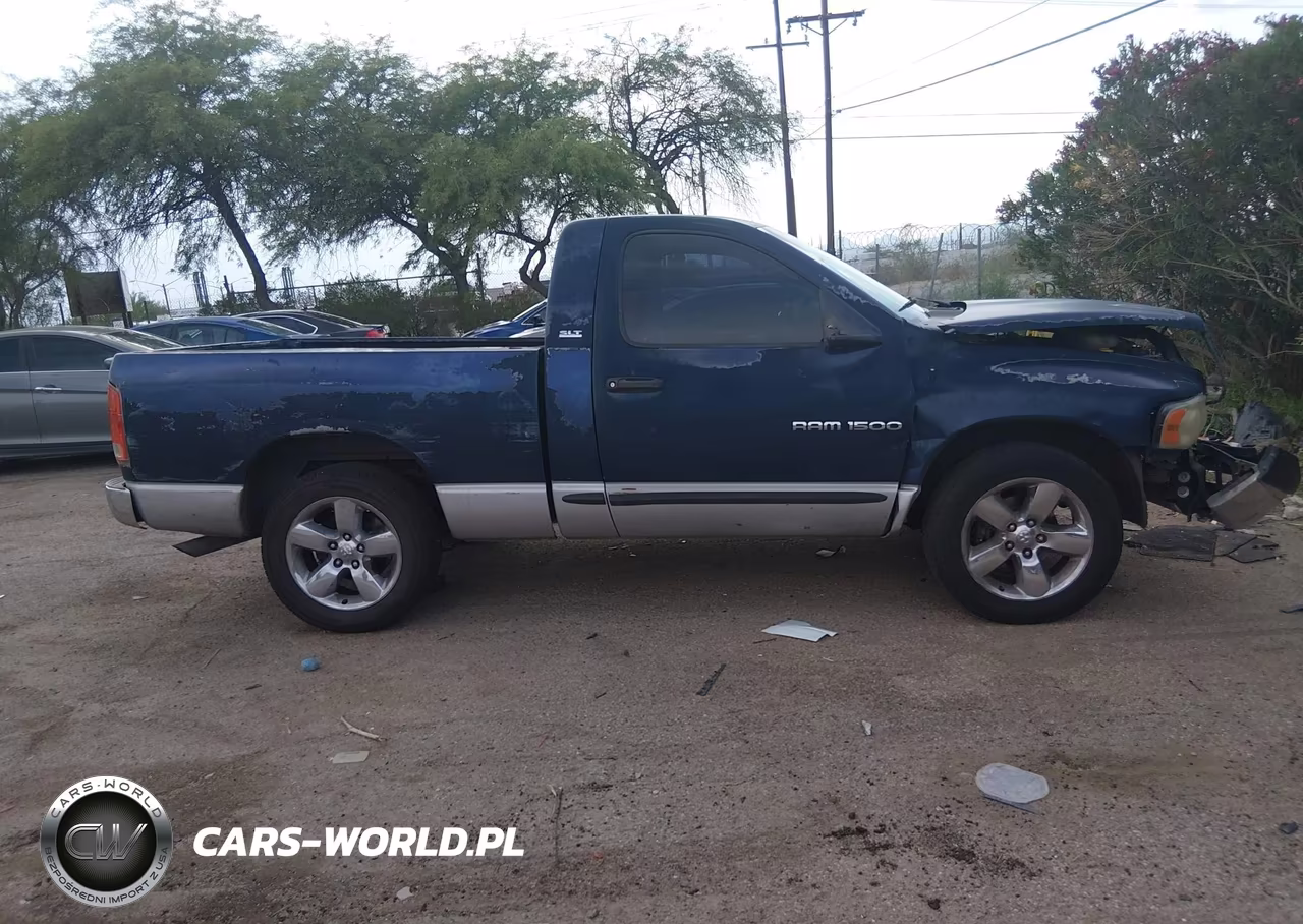2002 Dodge Ram 1500 St VIN:1D7HA16Z82J196266 - 13