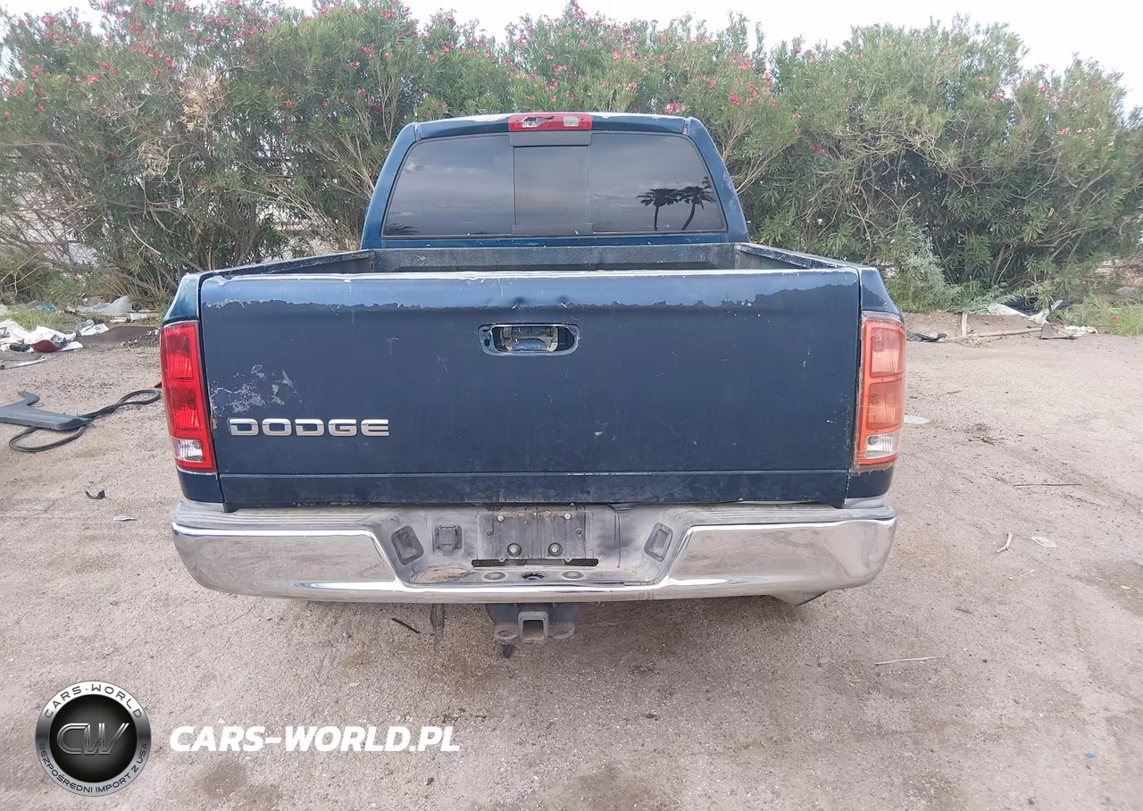 2002 Dodge Ram 1500 St VIN:1D7HA16Z82J196266 - 16