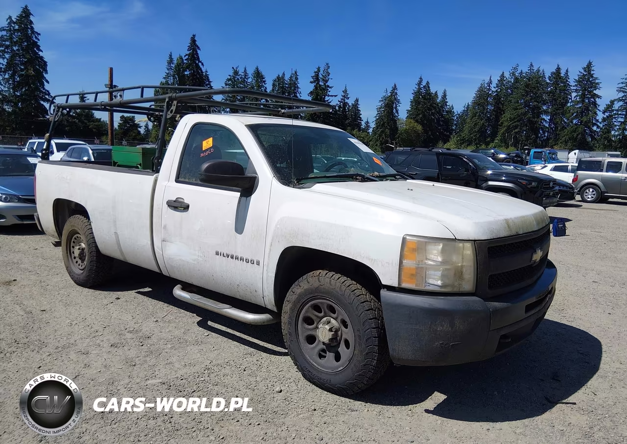 2009 Chevrolet Silverado 1500 Work Truck
