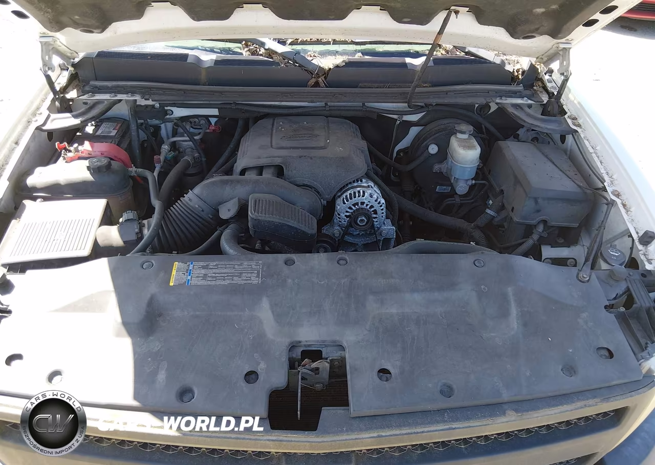 2009 Chevrolet Silverado 1500 Work Truck VIN:1GCEC14C19Z209389 - 10